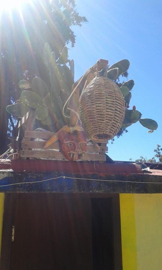 Hostal Nahui Ollin San Cristóbal de Las Casas Exterior foto